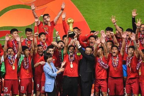 谢辉爆料上港冠军视频播放,谢辉独家爆料背后的精彩瞬间